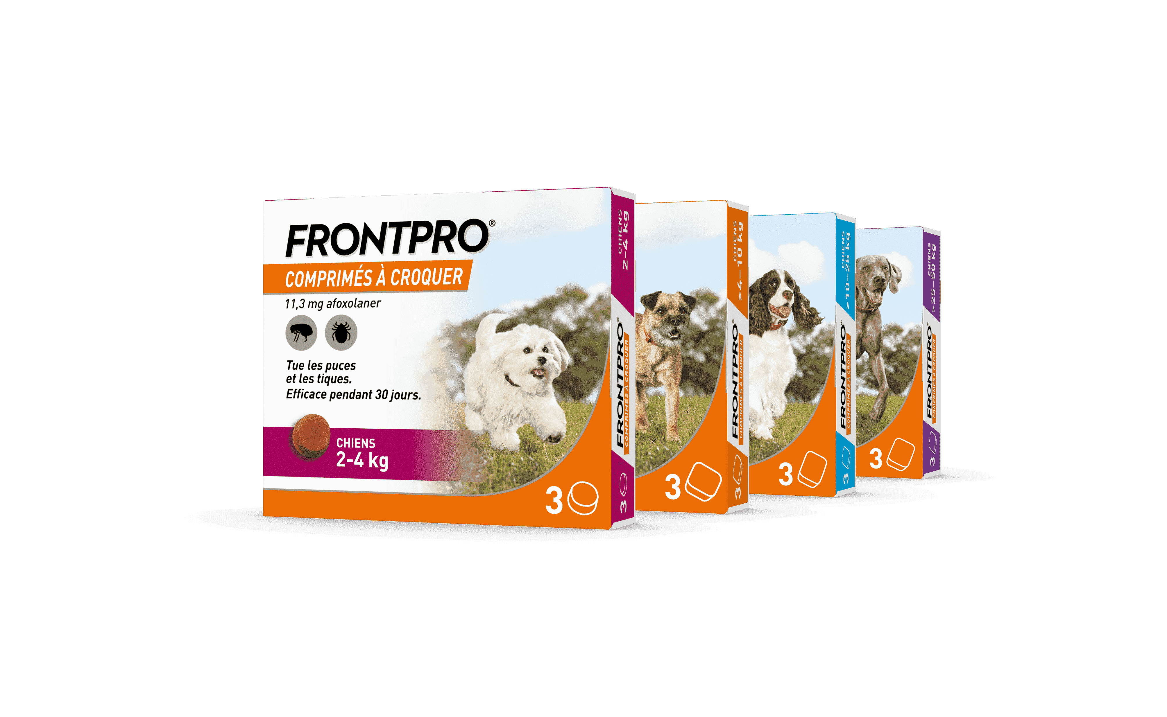 Pack Frontpro x4